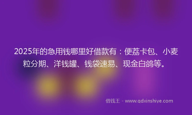 2025年的急用钱哪里好借款有：便荔卡包、小麦粒分期、洋钱罐、钱袋速易、现金白鸽等。