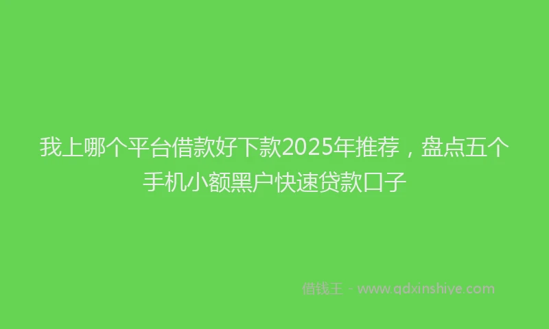 我上哪个平台借款好下款2025年推荐，盘点五个手机小额黑户快速贷款口子