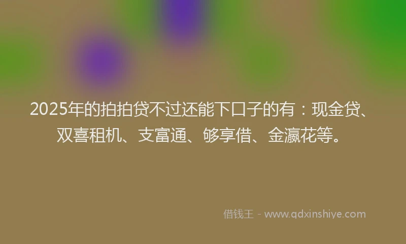 2025年的拍拍贷不过还能下口子的有：现金贷、双喜租机、支富通、够享借、金瀛花等。