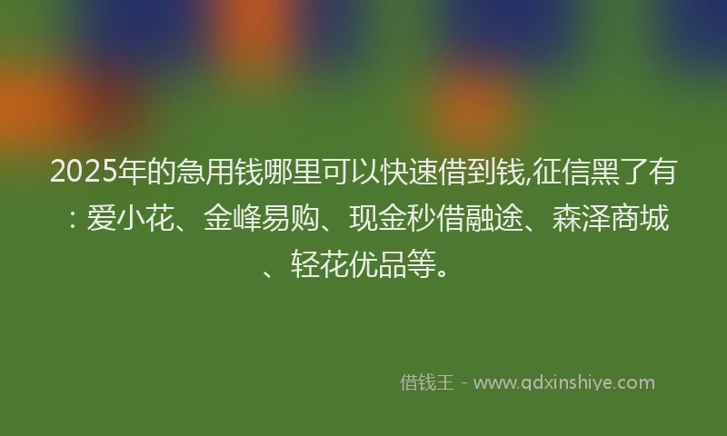 2025年的急用钱哪里可以快速借到钱,征信黑了有：爱小花、金峰易购、现金秒借融途、森泽商城、轻花优品等。