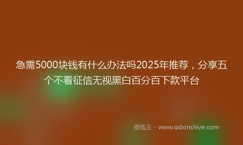 急需5000块钱有什么办法吗2025年推荐，分享五个不看征信无视黑白百分百下款平台