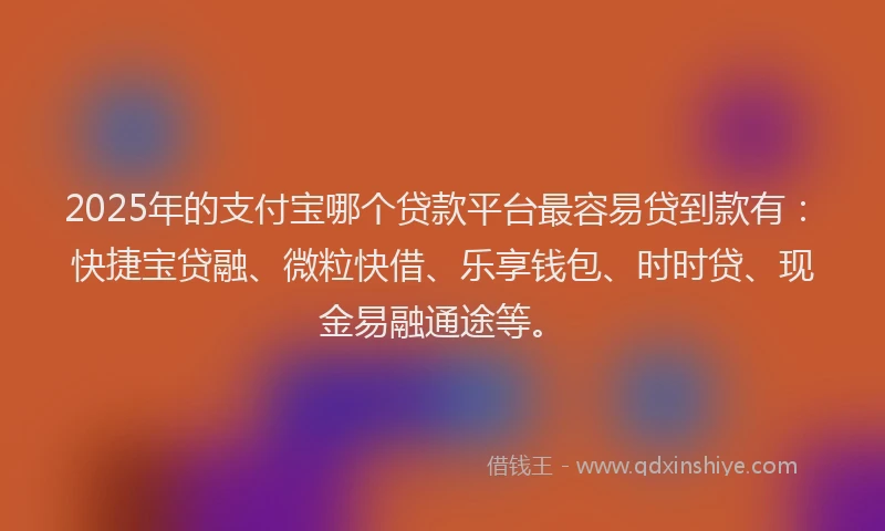 2025年的支付宝哪个贷款平台最容易贷到款有：快捷宝贷融、微粒快借、乐享钱包、时时贷、现金易融通途等。