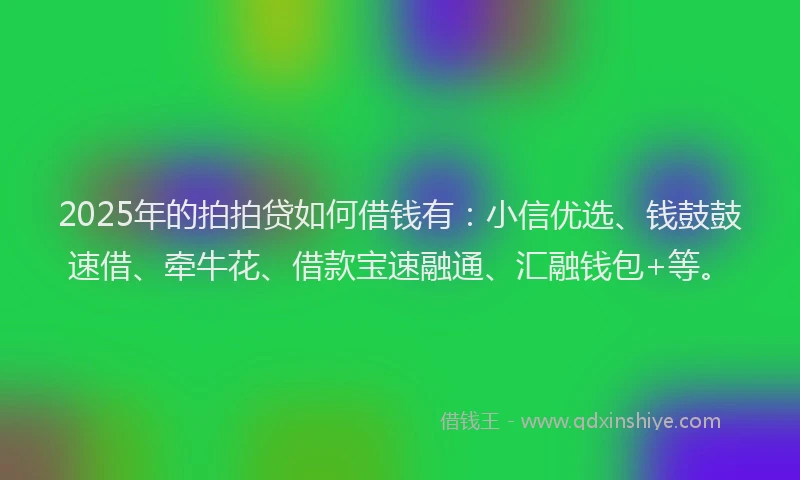 2025年的拍拍贷如何借钱有：小信优选、钱鼓鼓速借、牵牛花、借款宝速融通、汇融钱包+等。