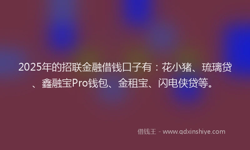 2025年的招联金融借钱口子有：花小猪、琉璃贷、鑫融宝Pro钱包、金租宝、闪电侠贷等。