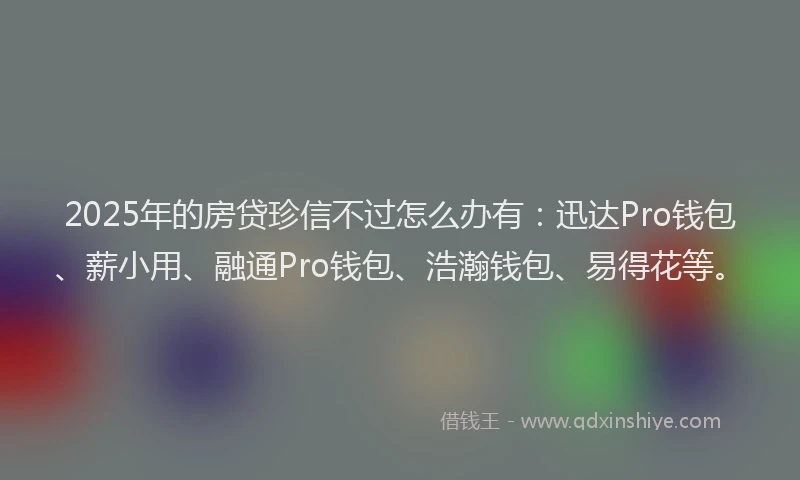 2025年的房贷珍信不过怎么办有：迅达Pro钱包、薪小用、融通Pro钱包、浩瀚钱包、易得花等。