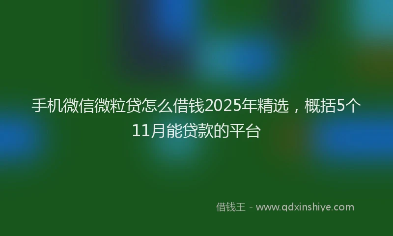 手机微信微粒贷怎么借钱2025年精选，概括5个11月能贷款的平台