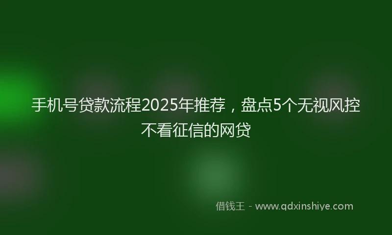 手机号贷款流程2025年推荐，盘点5个无视风控不看征信的网贷