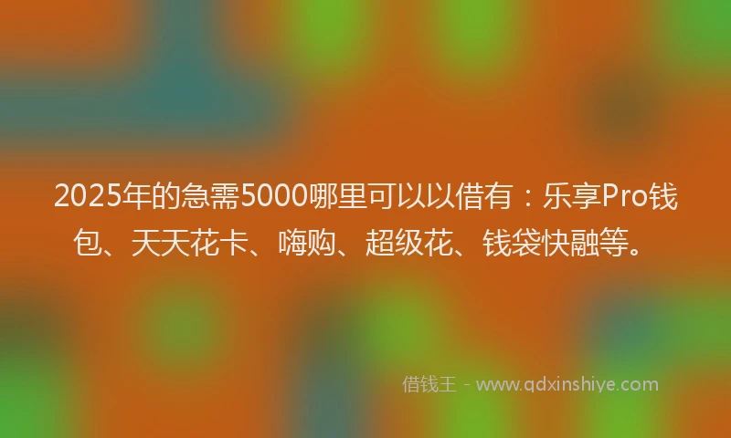 2025年的急需5000哪里可以以借有：乐享Pro钱包、天天花卡、嗨购、超级花、钱袋快融等。