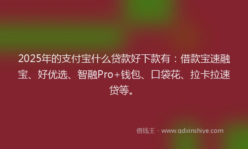 2025年的支付宝什么贷款好下款有：借款宝速融宝、好优选、智融Pro+钱包、口袋花、拉卡拉速贷等。