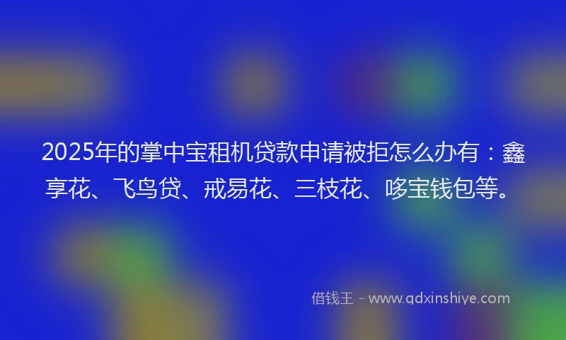 2025年的掌中宝租机贷款申请被拒怎么办有：鑫享花、飞鸟贷、戒易花、三枝花、哆宝钱包等。