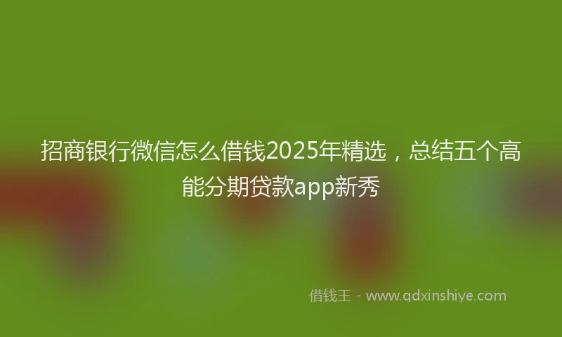 招商银行微信怎么借钱2025年精选，总结五个高能分期贷款app新秀