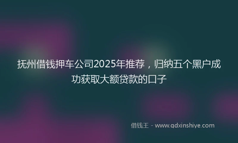 抚州借钱押车公司2025年推荐，归纳五个黑户成功获取大额贷款的口子