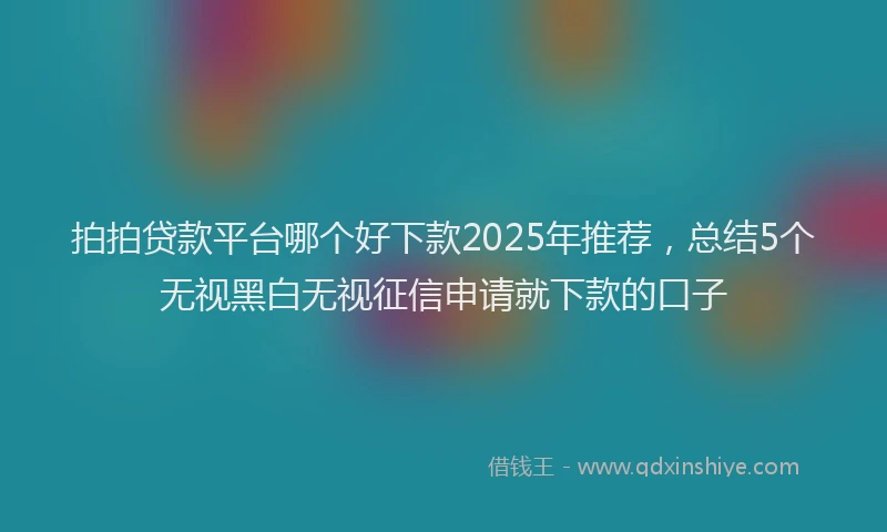 拍拍贷款平台哪个好下款2025年推荐，总结5个无视黑白无视征信申请就下款的口子