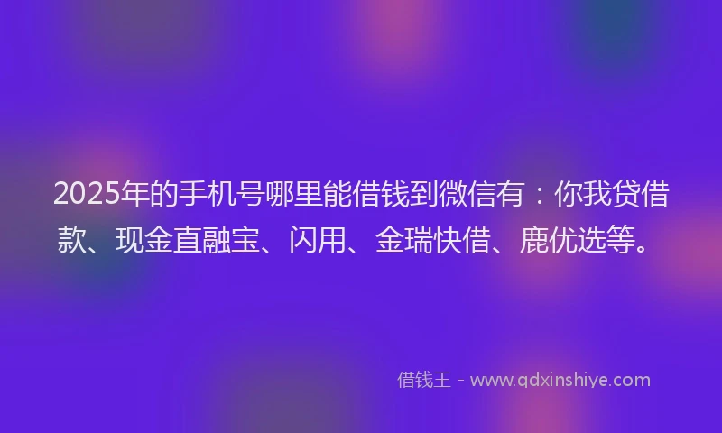 2025年的手机号哪里能借钱到微信有：你我贷借款、现金直融宝、闪用、金瑞快借、鹿优选等。