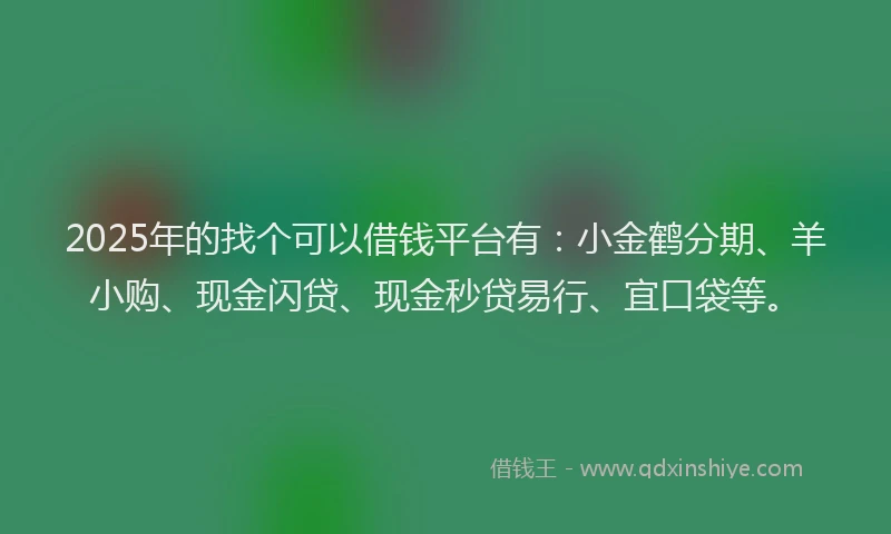 2025年的找个可以借钱平台有：小金鹤分期、羊小购、现金闪贷、现金秒贷易行、宜口袋等。