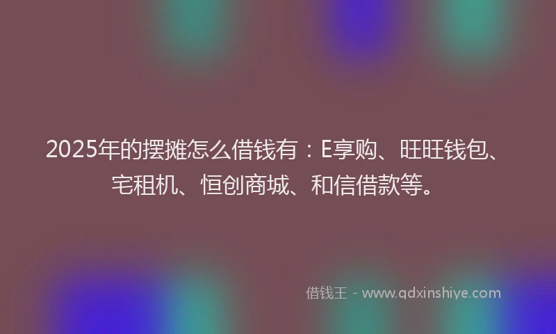 2025年的摆摊怎么借钱有：E享购、旺旺钱包、宅租机、恒创商城、和信借款等。
