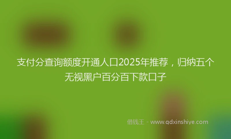 支付分查询额度开通人口2025年推荐，归纳五个无视黑户百分百下款口子