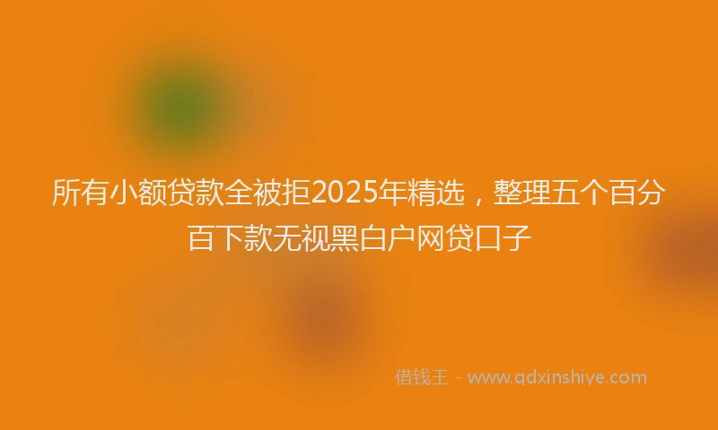 所有小额贷款全被拒2025年精选，整理五个百分百下款无视黑白户网贷口子