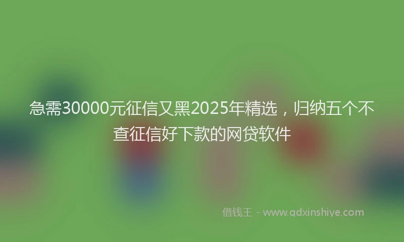 急需30000元征信又黑2025年精选，归纳五个不查征信好下款的网贷软件
