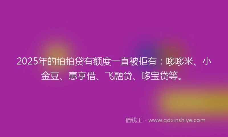 2025年的拍拍贷有额度一直被拒有：哆哆米、小金豆、惠享借、飞融贷、哆宝贷等。