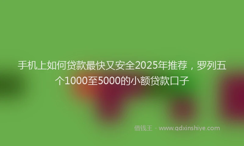 手机上如何贷款最快又安全2025年推荐，罗列五个1000至5000的小额贷款口子