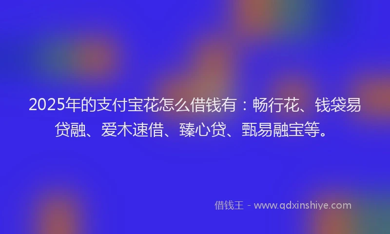 2025年的支付宝花怎么借钱有：畅行花、钱袋易贷融、爱木速借、臻心贷、甄易融宝等。