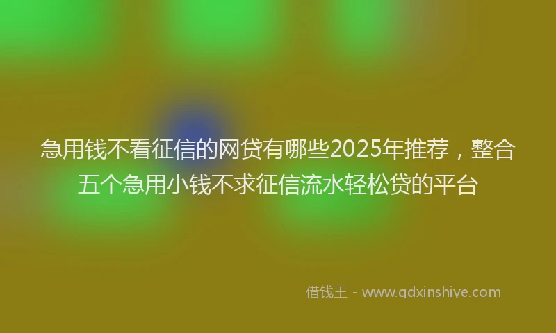 急用钱不看征信的网贷有哪些2025年推荐，整合五个急用小钱不求征信流水轻松贷的平台