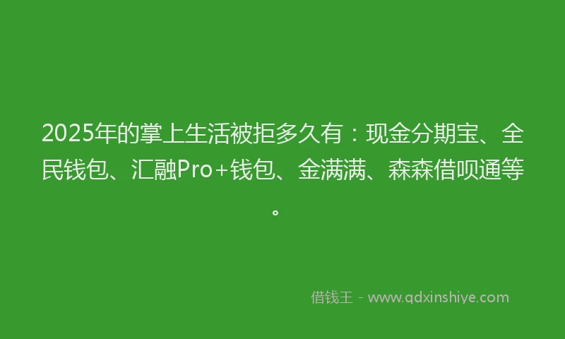 2025年的掌上生活被拒多久有：现金分期宝、全民钱包、汇融Pro+钱包、金满满、森森借呗通等。