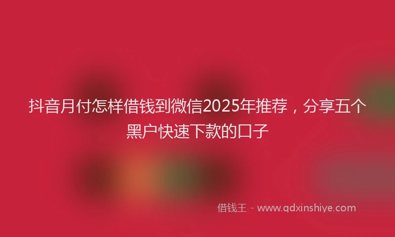 抖音月付怎样借钱到微信2025年推荐，分享五个黑户快速下款的口子