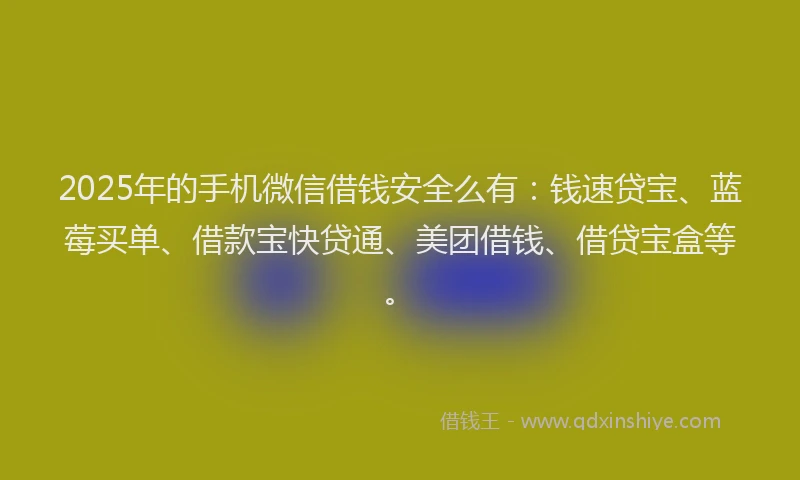 2025年的手机微信借钱安全么有：钱速贷宝、蓝莓买单、借款宝快贷通、美团借钱、借贷宝盒等。