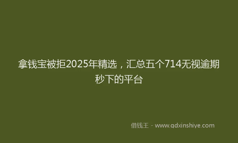 拿钱宝被拒2025年精选，汇总五个714无视逾期秒下的平台
