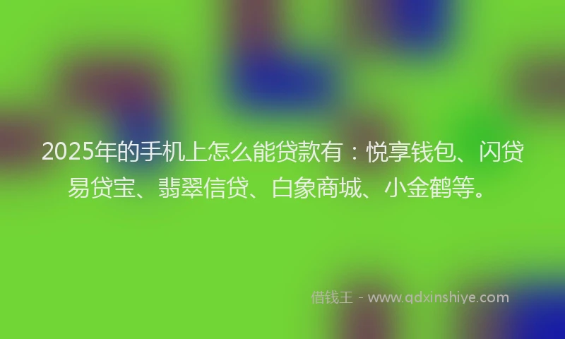 2025年的手机上怎么能贷款有：悦享钱包、闪贷易贷宝、翡翠信贷、白象商城、小金鹤等。