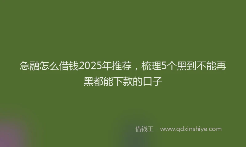 急融怎么借钱2025年推荐，梳理5个黑到不能再黑都能下款的口子