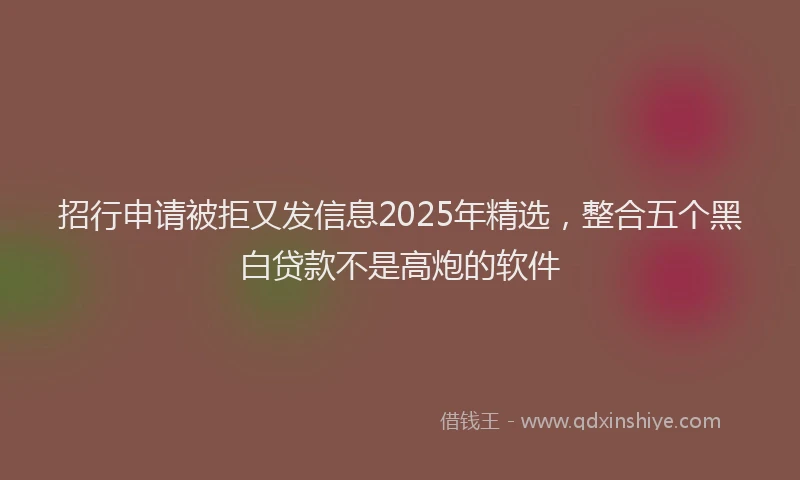 招行申请被拒又发信息2025年精选，整合五个黑白贷款不是高炮的软件
