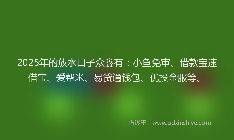 2025年的放水口子众鑫有：小鱼免审、借款宝速借宝、爱帮米、易贷通钱包、优投金服等。