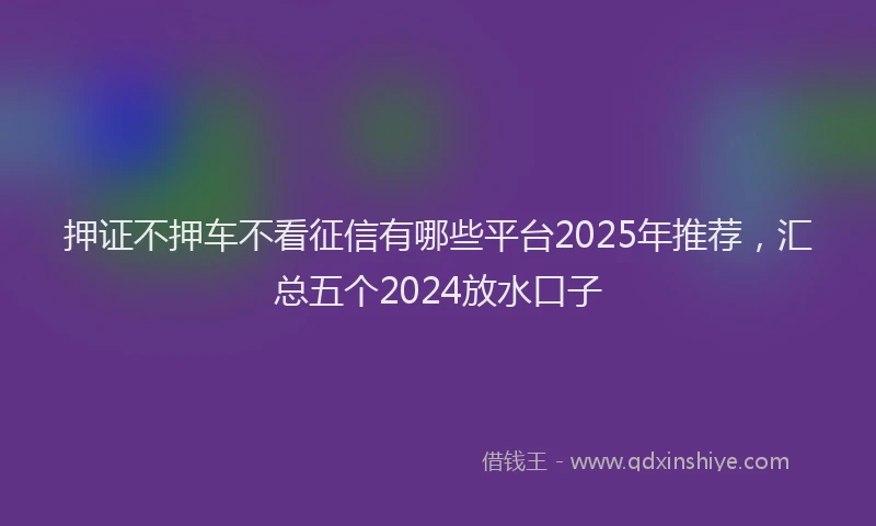 押证不押车不看征信有哪些平台2025年推荐，汇总五个2024放水口子