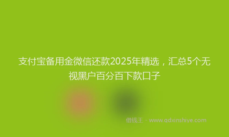 支付宝备用金微信还款2025年精选，汇总5个无视黑户百分百下款口子