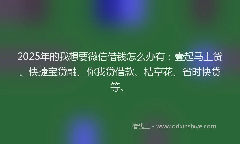 2025年的我想要微信借钱怎么办有：壹起马上贷、快捷宝贷融、你我贷借款、桔享花、省时快贷等。