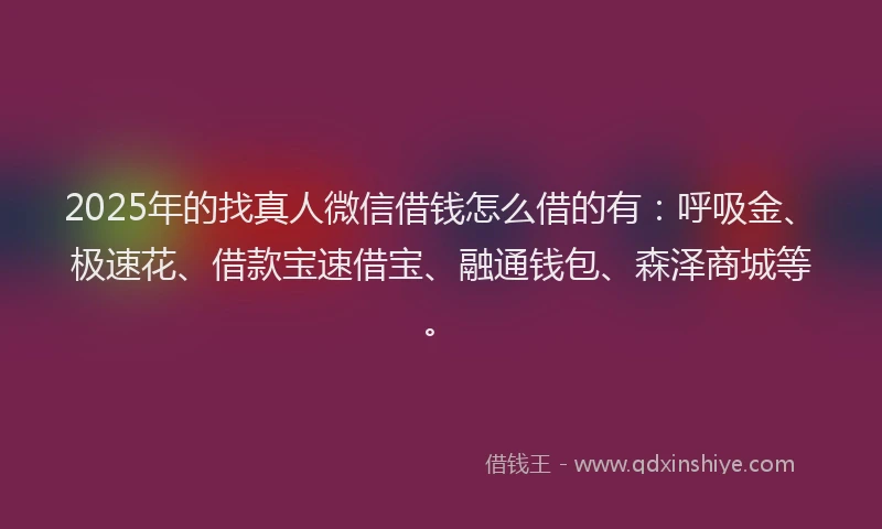 2025年的找真人微信借钱怎么借的有：呼吸金、极速花、借款宝速借宝、融通钱包、森泽商城等。