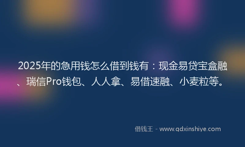 2025年的急用钱怎么借到钱有：现金易贷宝盒融、瑞信Pro钱包、人人拿、易借速融、小麦粒等。
