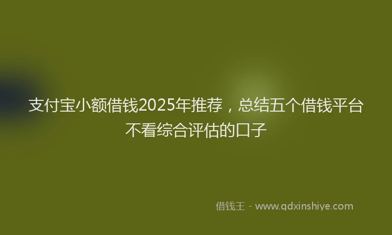 支付宝小额借钱2025年推荐，总结五个借钱平台不看综合评估的口子