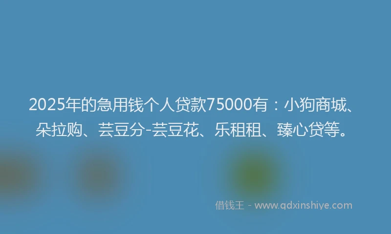 2025年的急用钱个人贷款75000有：小狗商城、朵拉购、芸豆分-芸豆花、乐租租、臻心贷等。