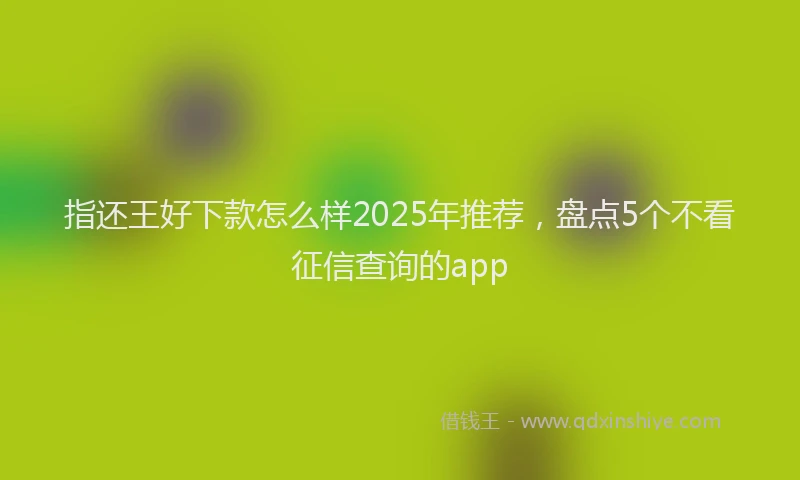 指还王好下款怎么样2025年推荐，盘点5个不看征信查询的app