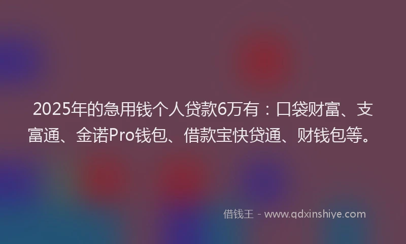 2025年的急用钱个人贷款6万有：口袋财富、支富通、金诺Pro钱包、借款宝快贷通、财钱包等。