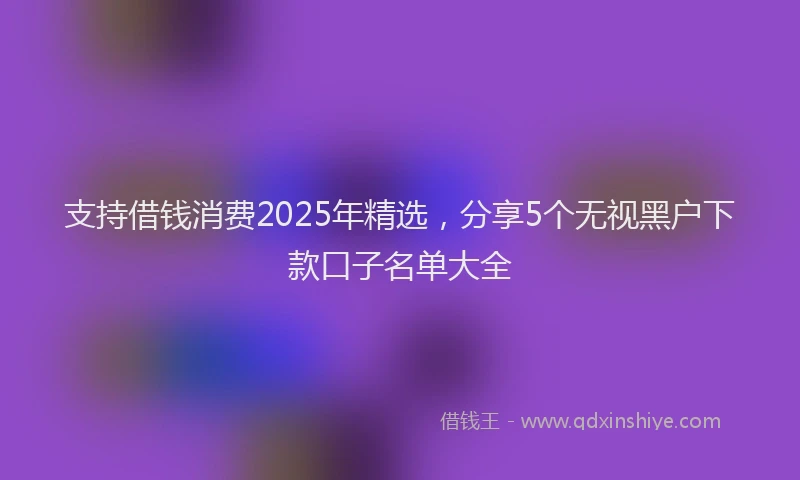 支持借钱消费2025年精选，分享5个无视黑户下款口子名单大全
