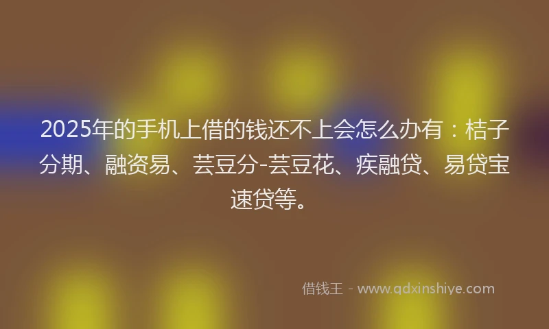 2025年的手机上借的钱还不上会怎么办有：桔子分期、融资易、芸豆分-芸豆花、疾融贷、易贷宝速贷等。