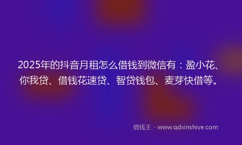 2025年的抖音月租怎么借钱到微信有：盈小花、你我贷、借钱花速贷、智贷钱包、麦芽快借等。