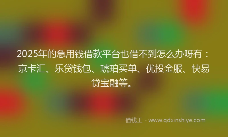2025年的急用钱借款平台也借不到怎么办呀有：京卡汇、乐贷钱包、琥珀买单、优投金服、快易贷宝融等。