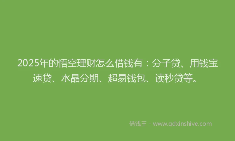 2025年的悟空理财怎么借钱有：分子贷、用钱宝速贷、水晶分期、超易钱包、读秒贷等。