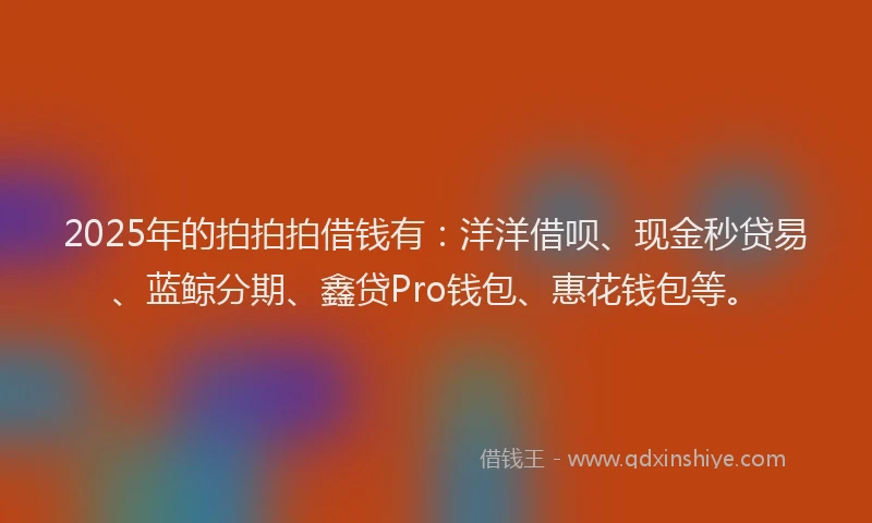 2025年的拍拍拍借钱有：洋洋借呗、现金秒贷易、蓝鲸分期、鑫贷Pro钱包、惠花钱包等。